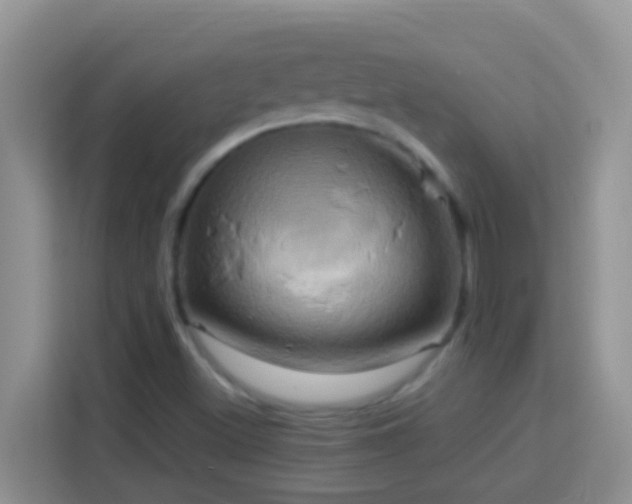 X0000114101500200910051434