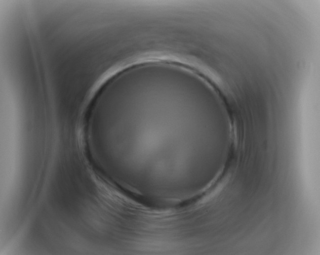 X0000114101501200910051434