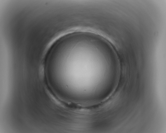 X0000114101503200910051434