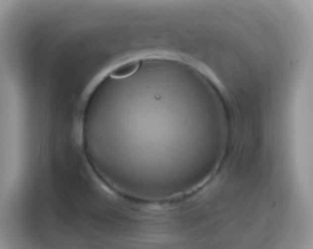 X0000114101504200910051435