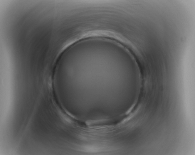 X0000114101505200910051435