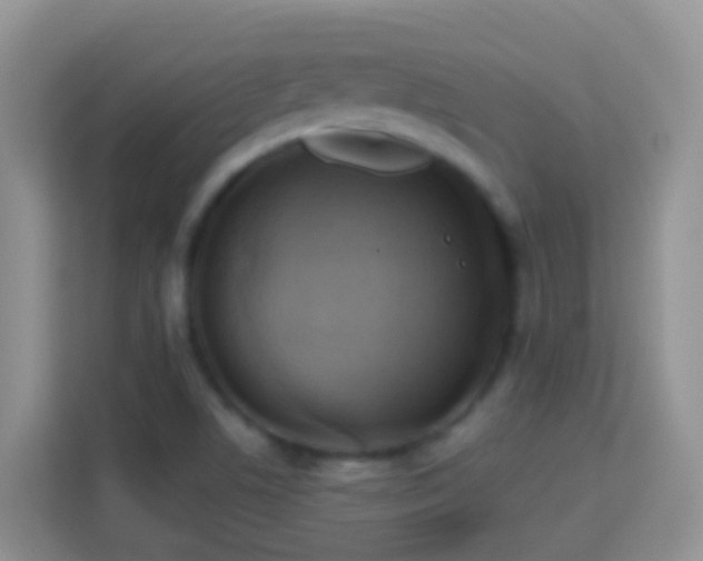 X0000114101506200910051435