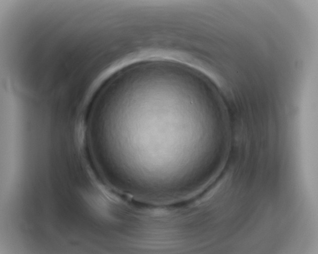 X0000114101507200910051435