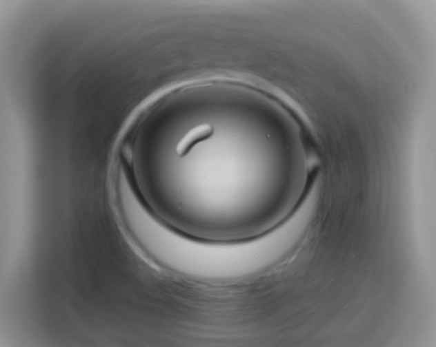 X0000114101508200910051435