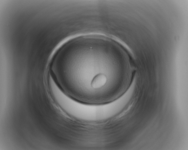 X0000114101510200910051435