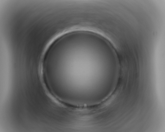 X0000114101511200910051435