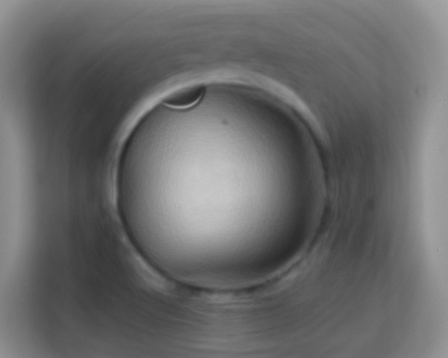 X0000114101512200910051435