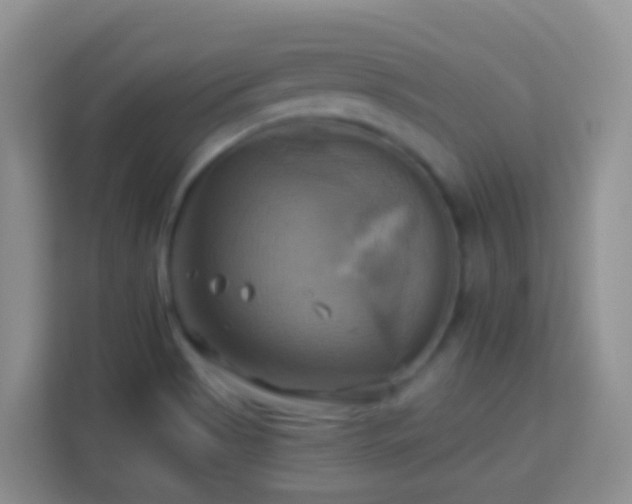 X0000114101513200910051435