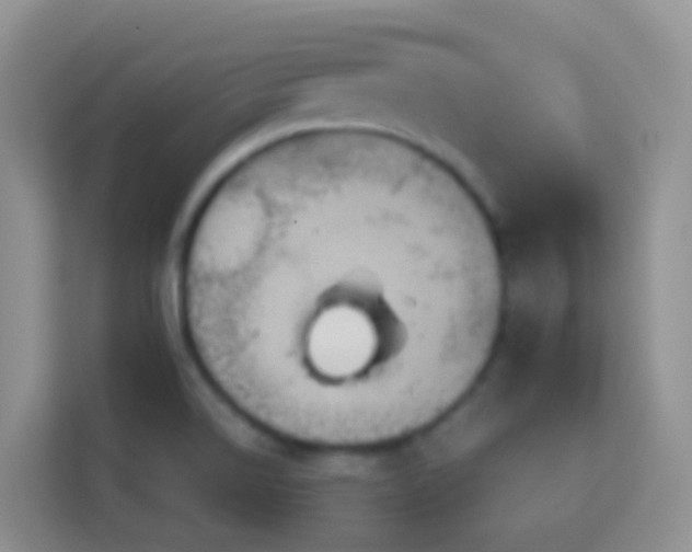 X0000114101514200910051435