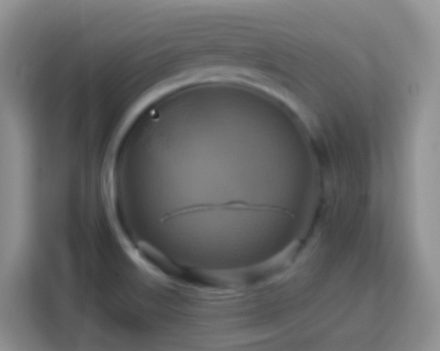 X0000114101515200910051435