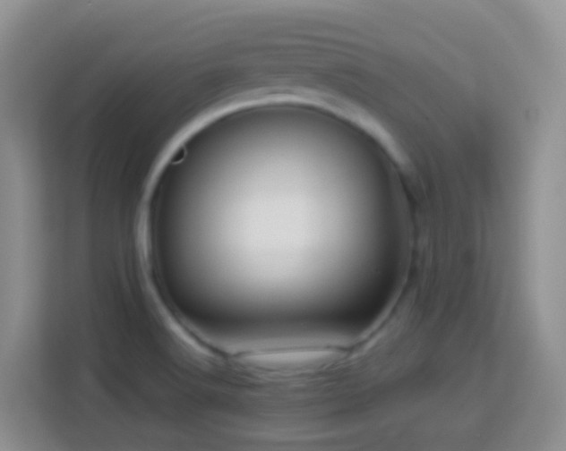 X0000114101516200910051435