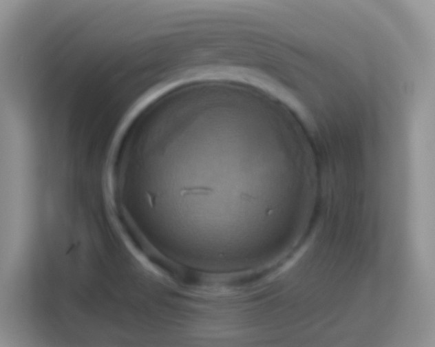 X0000114101517200910051435