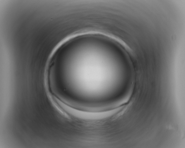 X0000114101518200910051435