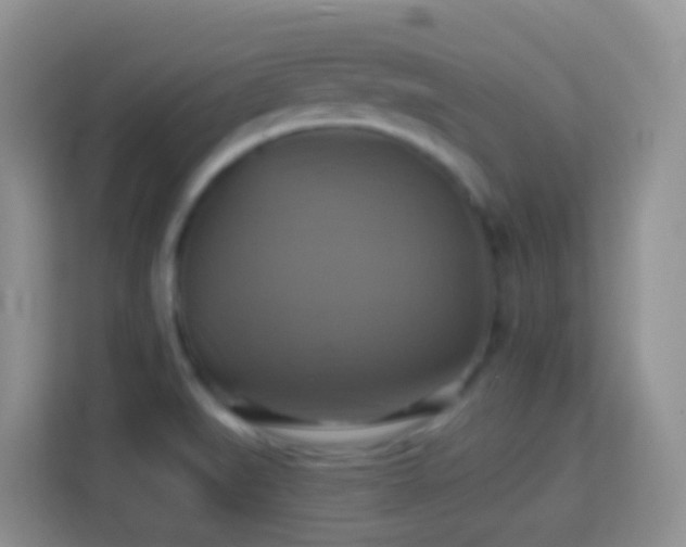 X0000114101519200910051435