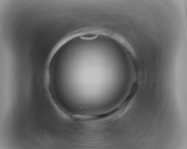 X0000114101520200910051435