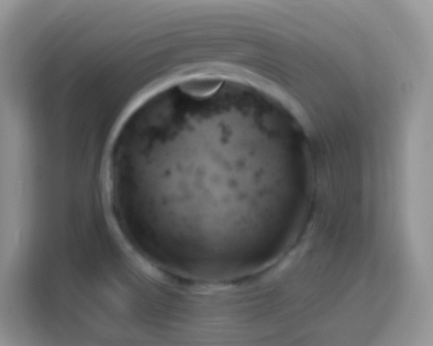 X0000114101522200910051435