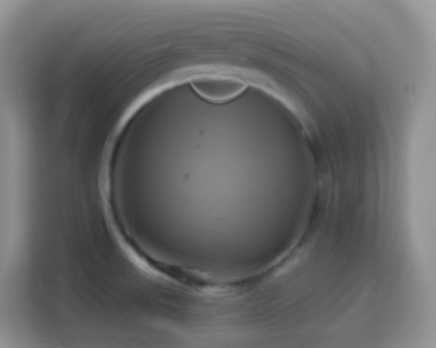 X0000114101523200910051435