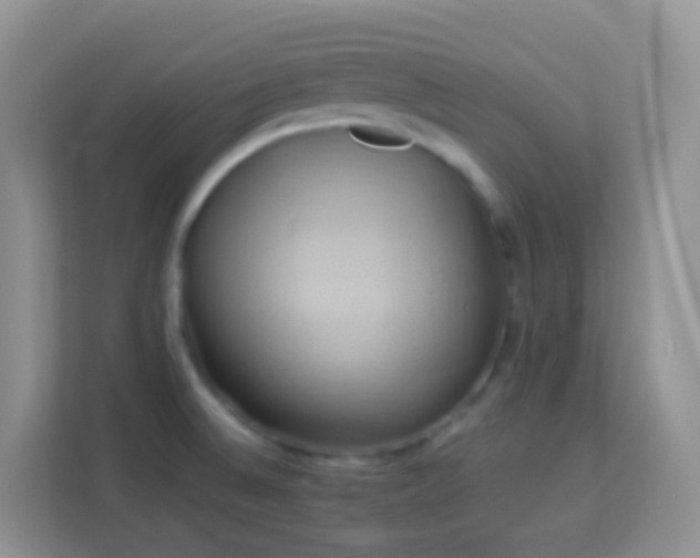 X0000114101524200910051435