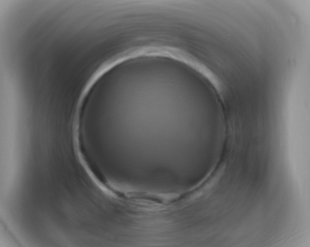 X0000114101525200910051435