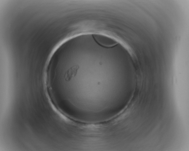 X0000114101527200910051435