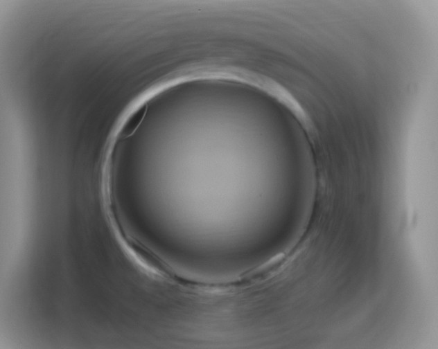 X0000114101528200910051435