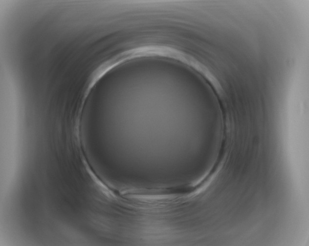 X0000114101529200910051435