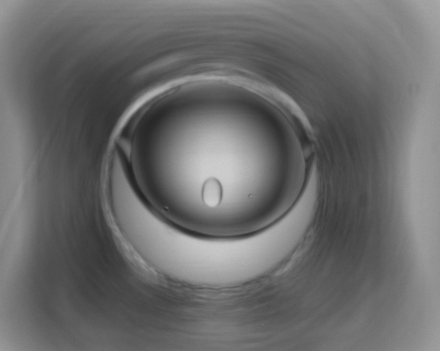 X0000114101530200910051435