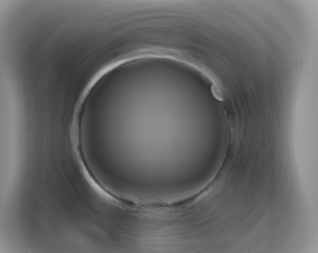 X0000114101531200910051435