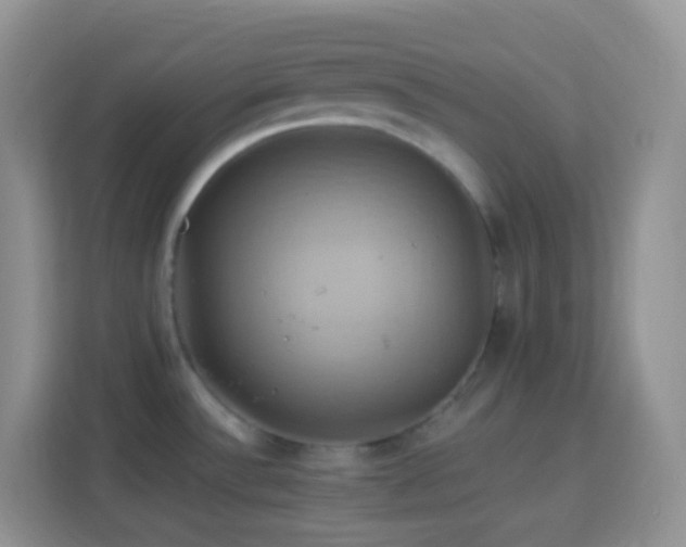 X0000114101532200910051435