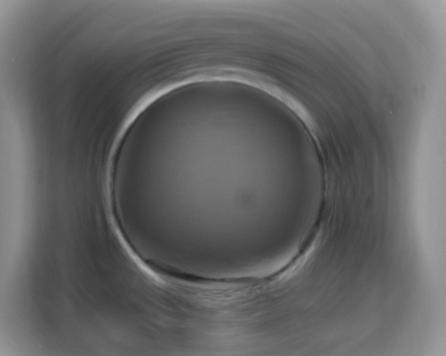 X0000114101533200910051435