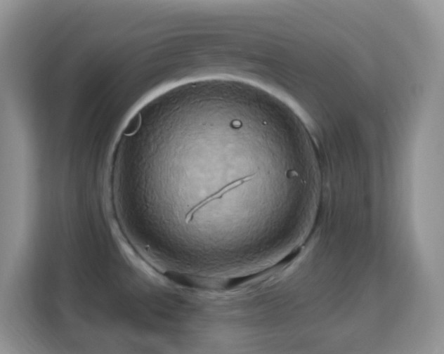 X0000114101534200910051435