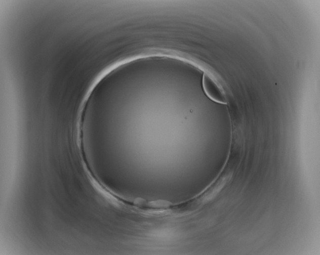 X0000114101535200910051435