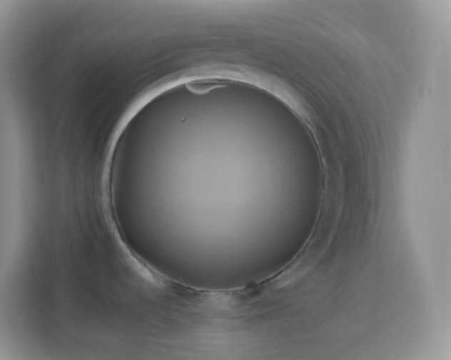 X0000114101536200910051435