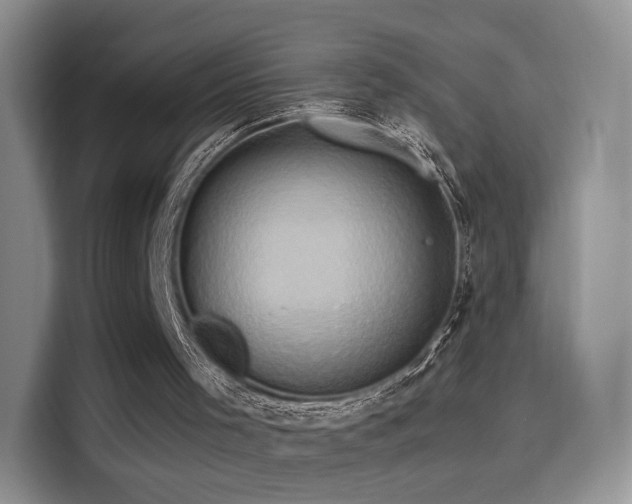 X0000114100001200910131332