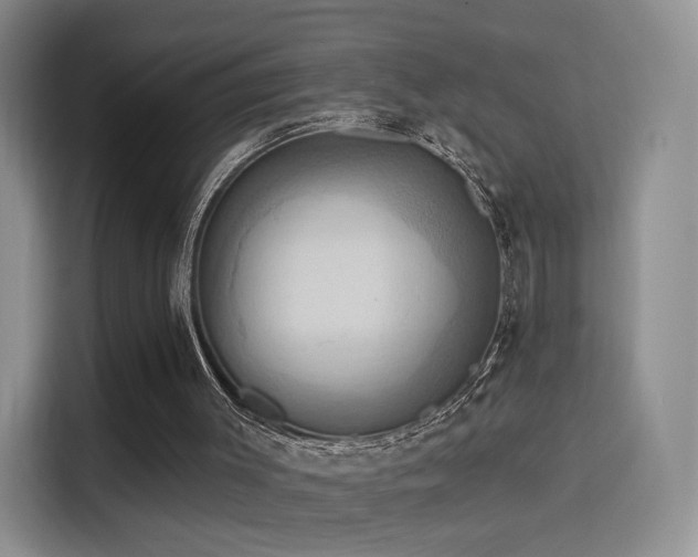 X0000114100003200910131332