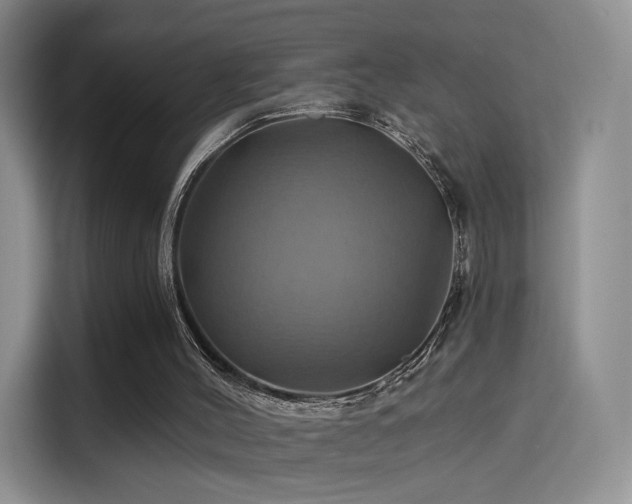 X0000114100004200910131331