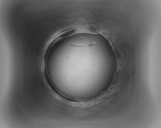 X0000114100005200910131331