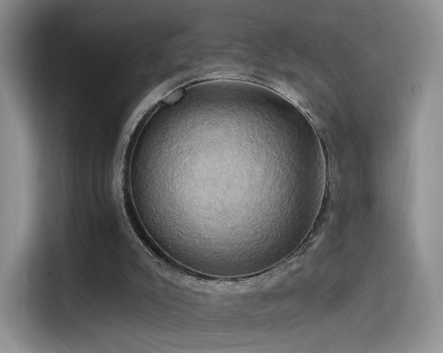 X0000114100007200910131331