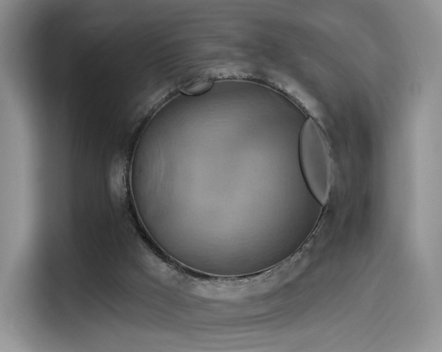 X0000114100009200910131331