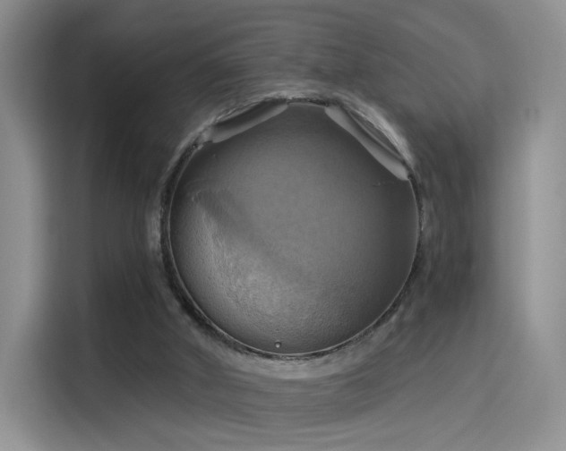 X0000114100010200910131331