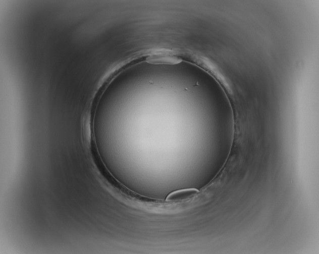 X0000114100011200910131331