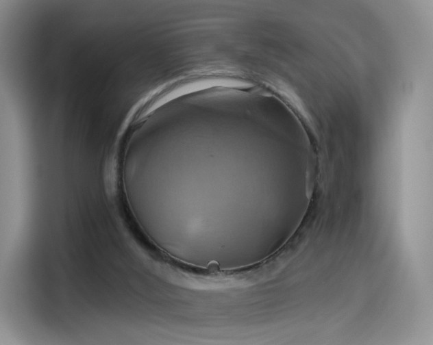 X0000114100012200910131331