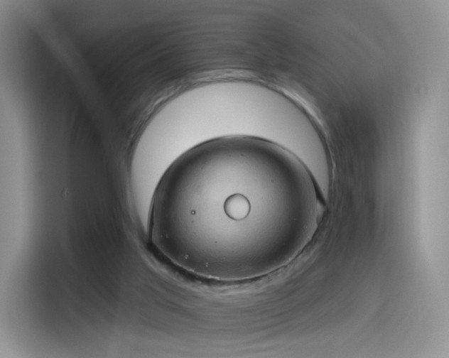 X0000114100013200910131331