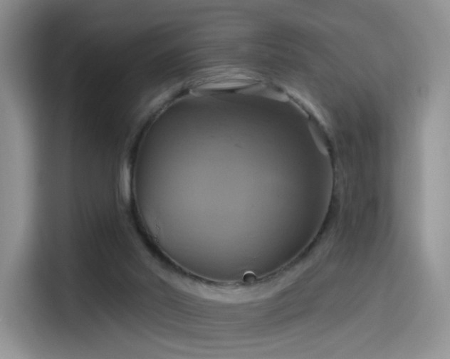 X0000114100014200910131331