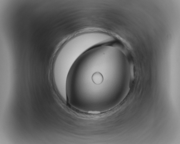 X0000114100015200910131331