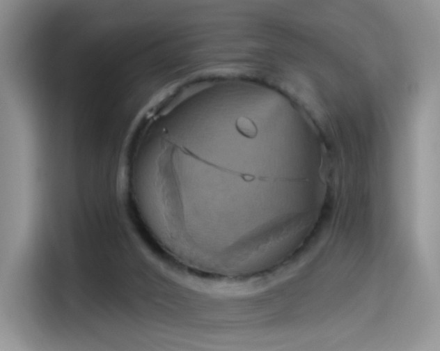 X0000114100016200910131331