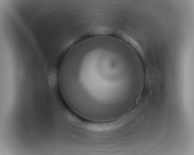 X0000114100017200910131331