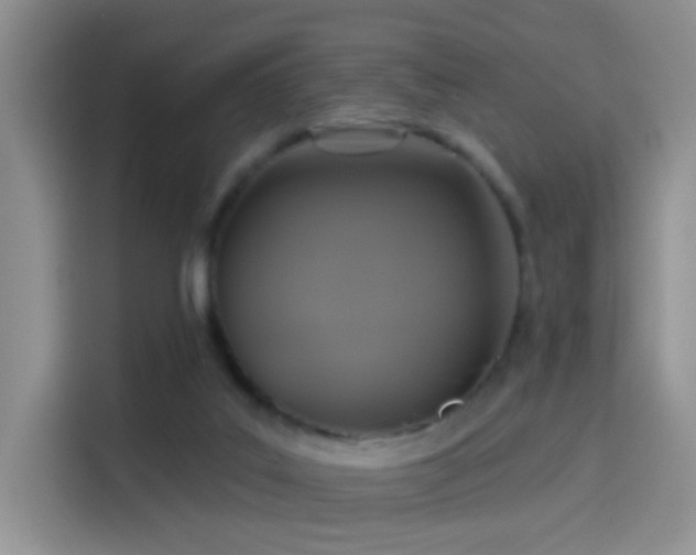 X0000114100019200910131331