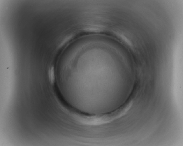 X0000114100020200910131331