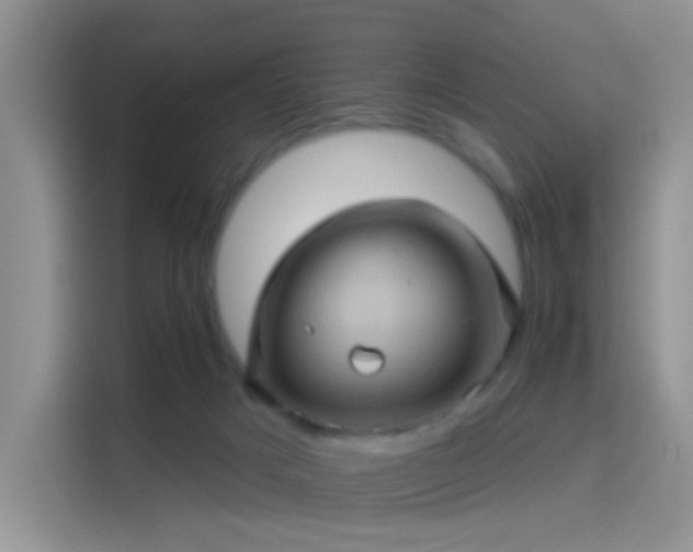 X0000114100025200910131331